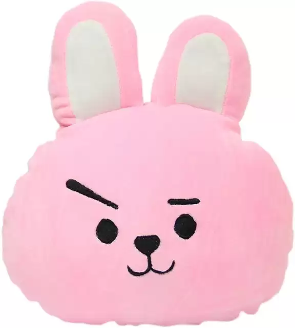 ������� �������� K-POP BTS - Cooky