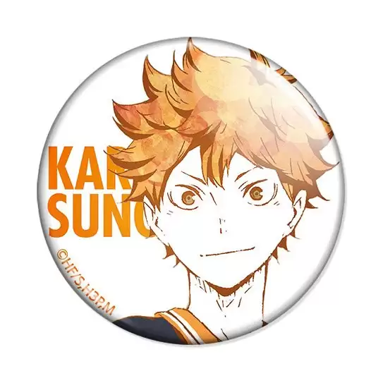 ������ ��������!! Ani-Art - Shouyou Hinata