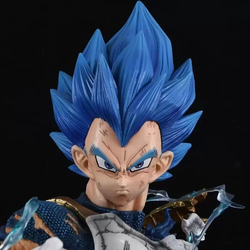 ������� ������ ���������� Vegeta