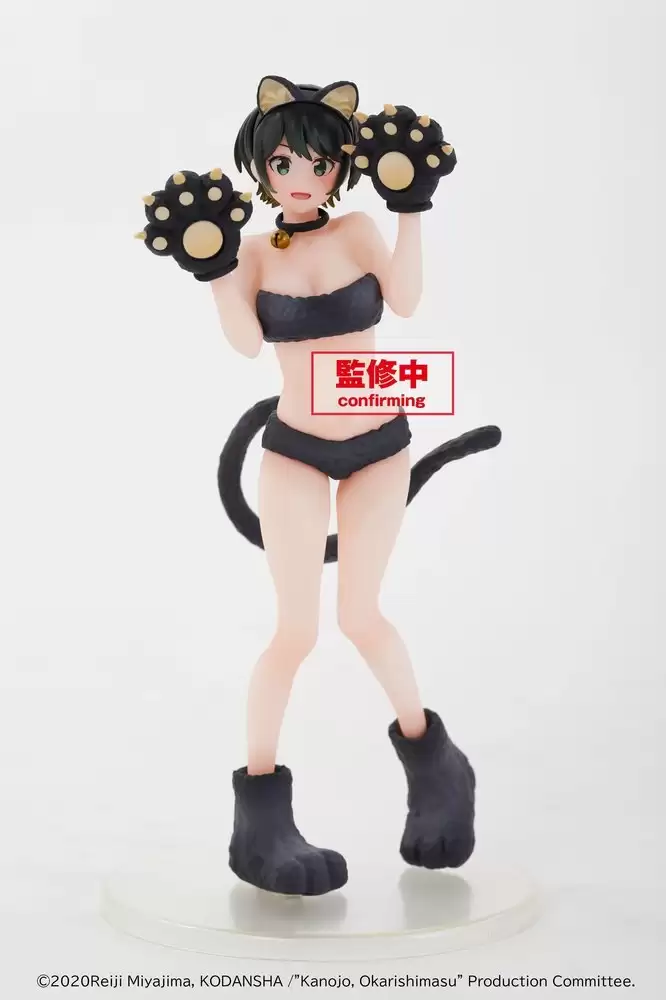 ������� Kanojo, Okarishimasu Coreful Figure Sarashina Ruka Summer Cat Ver.