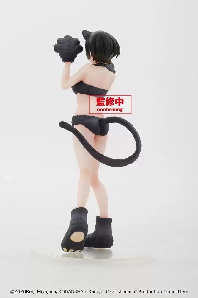 ������� Kanojo, Okarishimasu Coreful Figure Sarashina Ruka Summer Cat Ver.