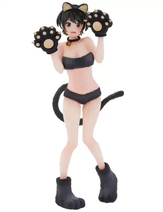 ������� Kanojo, Okarishimasu Coreful Figure Sarashina Ruka Summer Cat Ver.