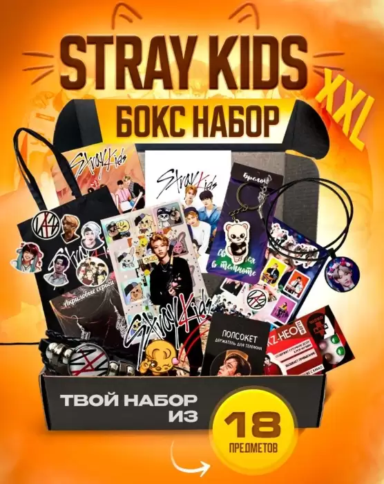 ���� Stray Kids �������