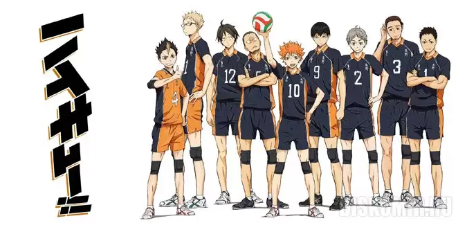    !! Karasuno Team
