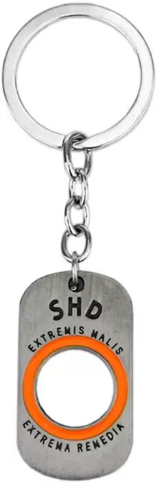 ������ ������������� Tom Clancy's The Division SHD Logo