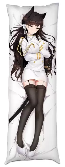 ��������� ��� ������� ���������� �� ������� ��������� "�������� ����" Atago