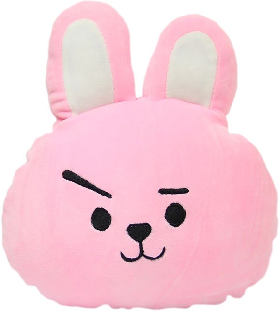 ������� �������� K-POP BTS - Cooky
