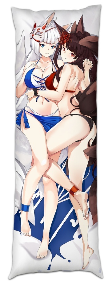 ��������� ��� ���������� �������� ���� - Akagi � Kaga