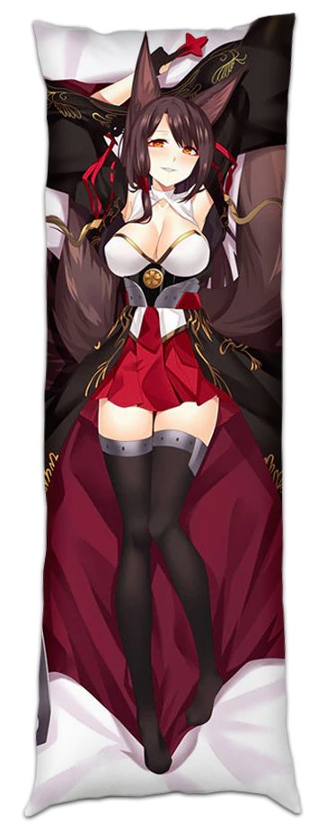 ��������� ��� ���������� �� ������� ��������� Akagi "�������� ����"