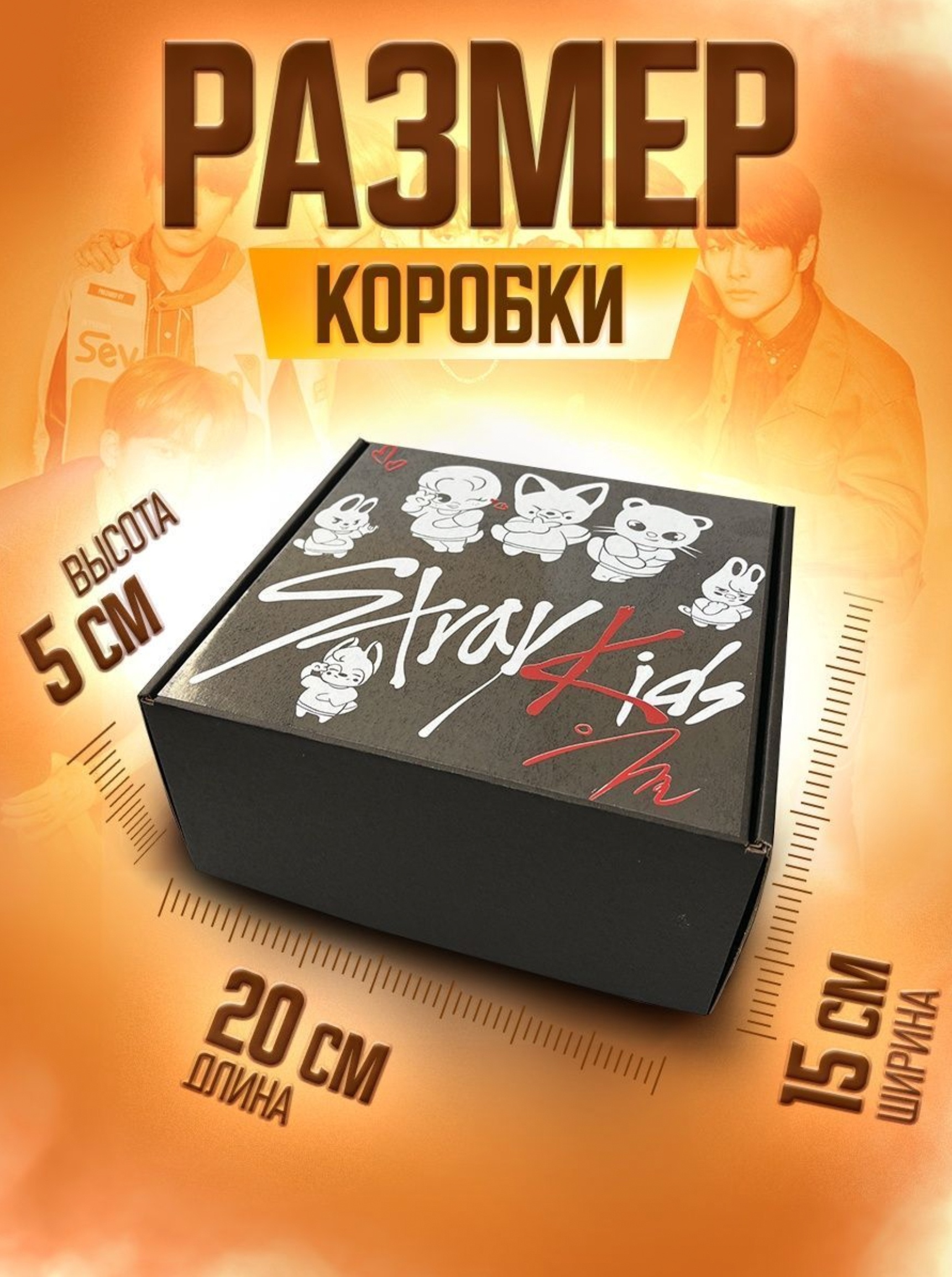���� Stray Kids ���������