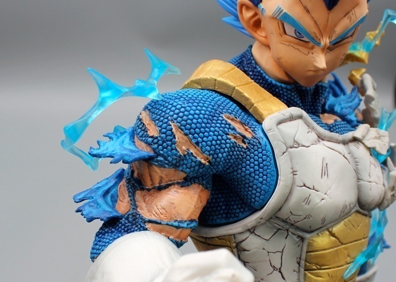 ������� ������ ���������� Vegeta