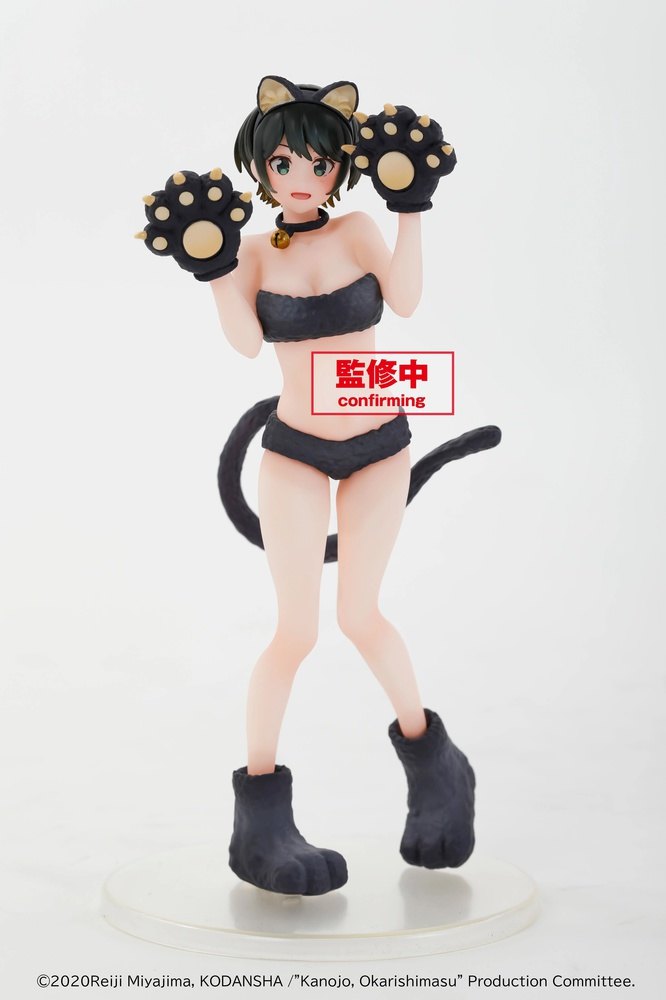������� Kanojo, Okarishimasu Coreful Figure Sarashina Ruka Summer Cat Ver.