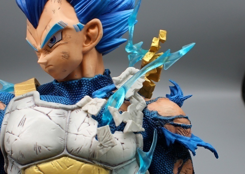 ������� ������ ���������� Vegeta