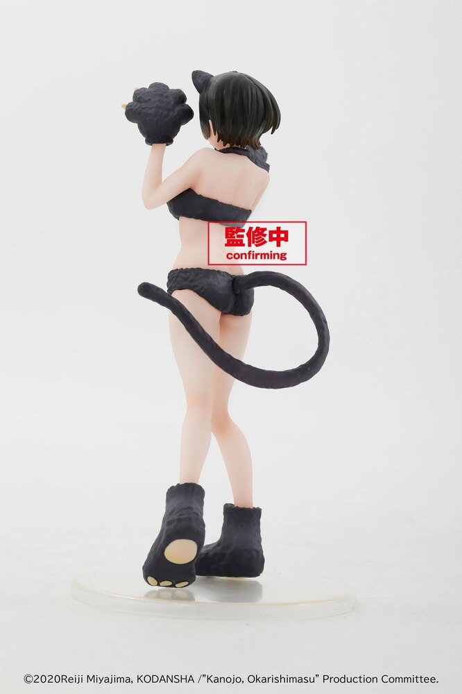 ������� Kanojo, Okarishimasu Coreful Figure Sarashina Ruka Summer Cat Ver.