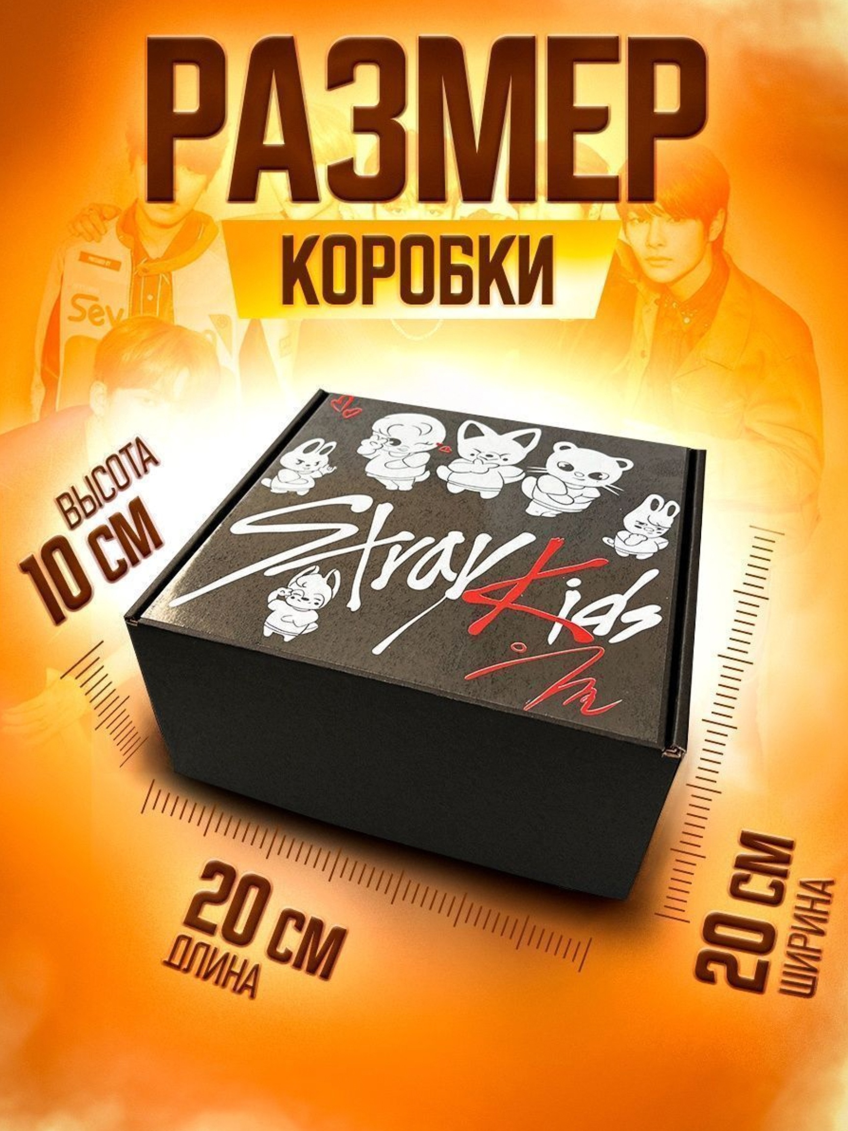���� Stray Kids �������