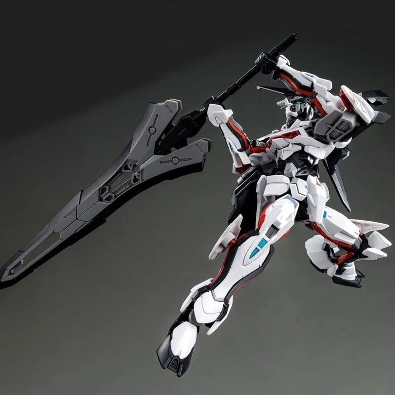 ������� ������� HG 1/144 Xingdong ������ ������ ������ ������ Lord Astray Omega 61858
