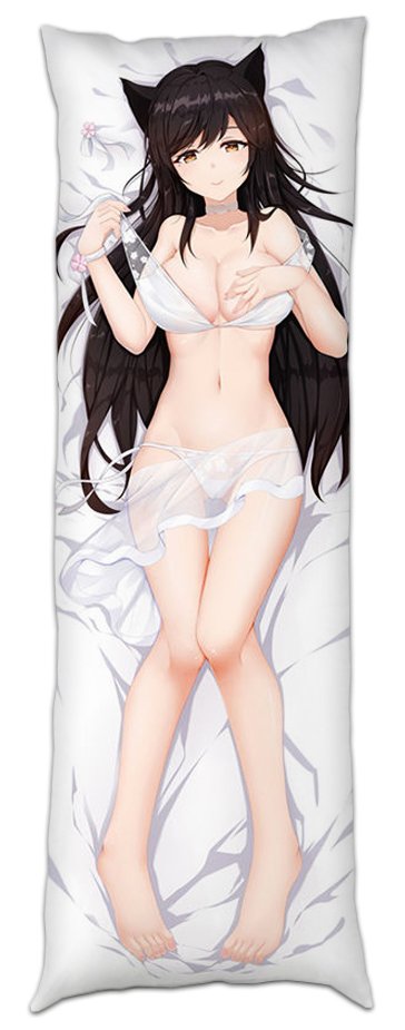 ��������� ��� ������� ���������� �� ������� ��������� "�������� ����" Atago