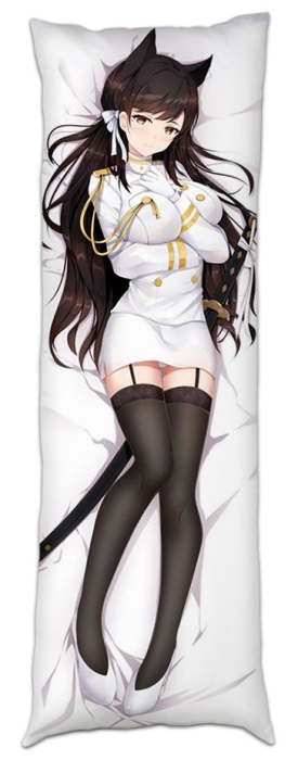 ��������� ��� ������� ���������� �� ������� ��������� "�������� ����" Atago