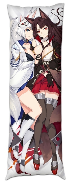 ��������� ��� ���������� �������� ���� - Akagi � Kaga