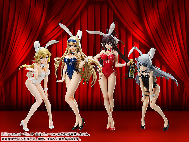 ������� Infinite Stratos: Charlotte Dunois Bareleg Bunny Ver.